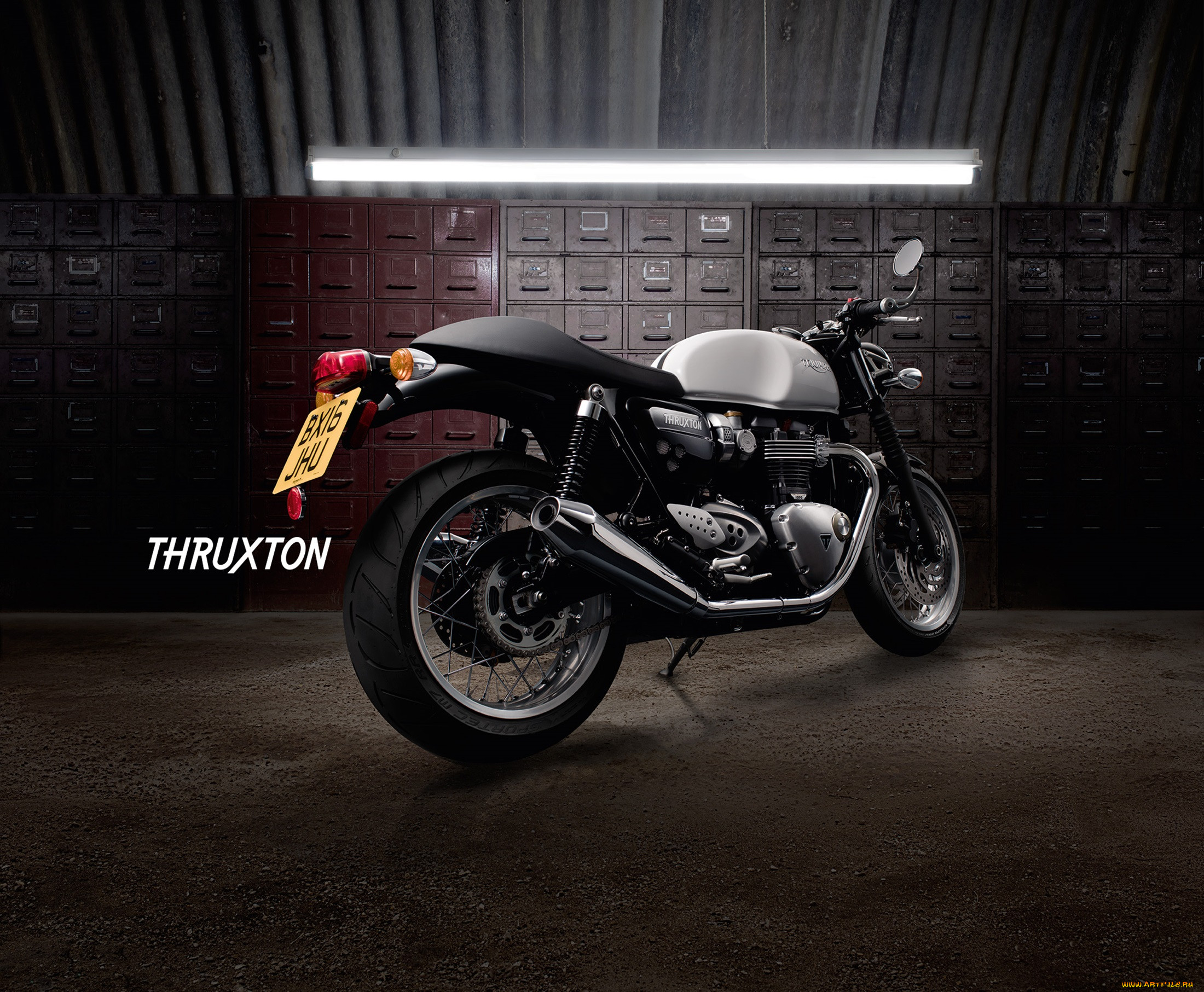 , triumph, moto